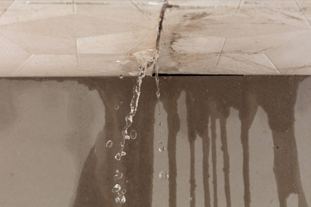 Professional Structural Drying technician working in Borden, IN